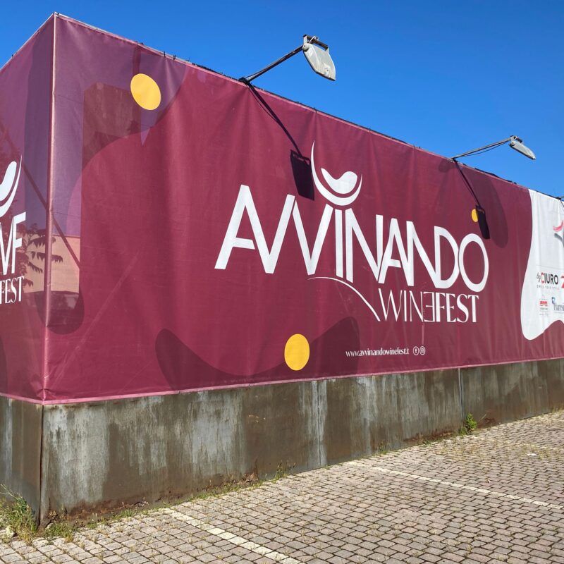 Progetto Avvinando Winefest
